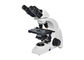 6V 20W प्रयोगशाला जैविक माइक्रोस्कोप 40-1000X बढ़ाई सफेद काले आपूर्तिकर्ता